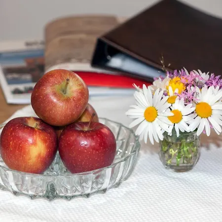 Stallerhof Апартаменты Санкт-Якоб-ин-Хаус